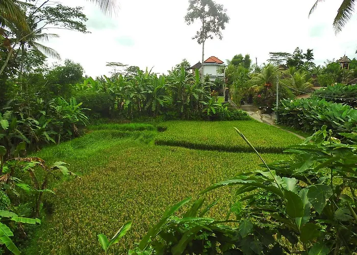 Hostal Mandala