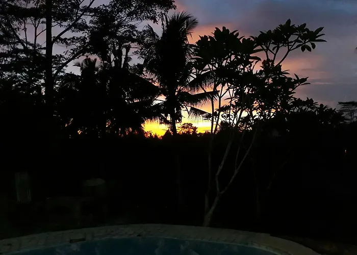 Mandala * Ubud